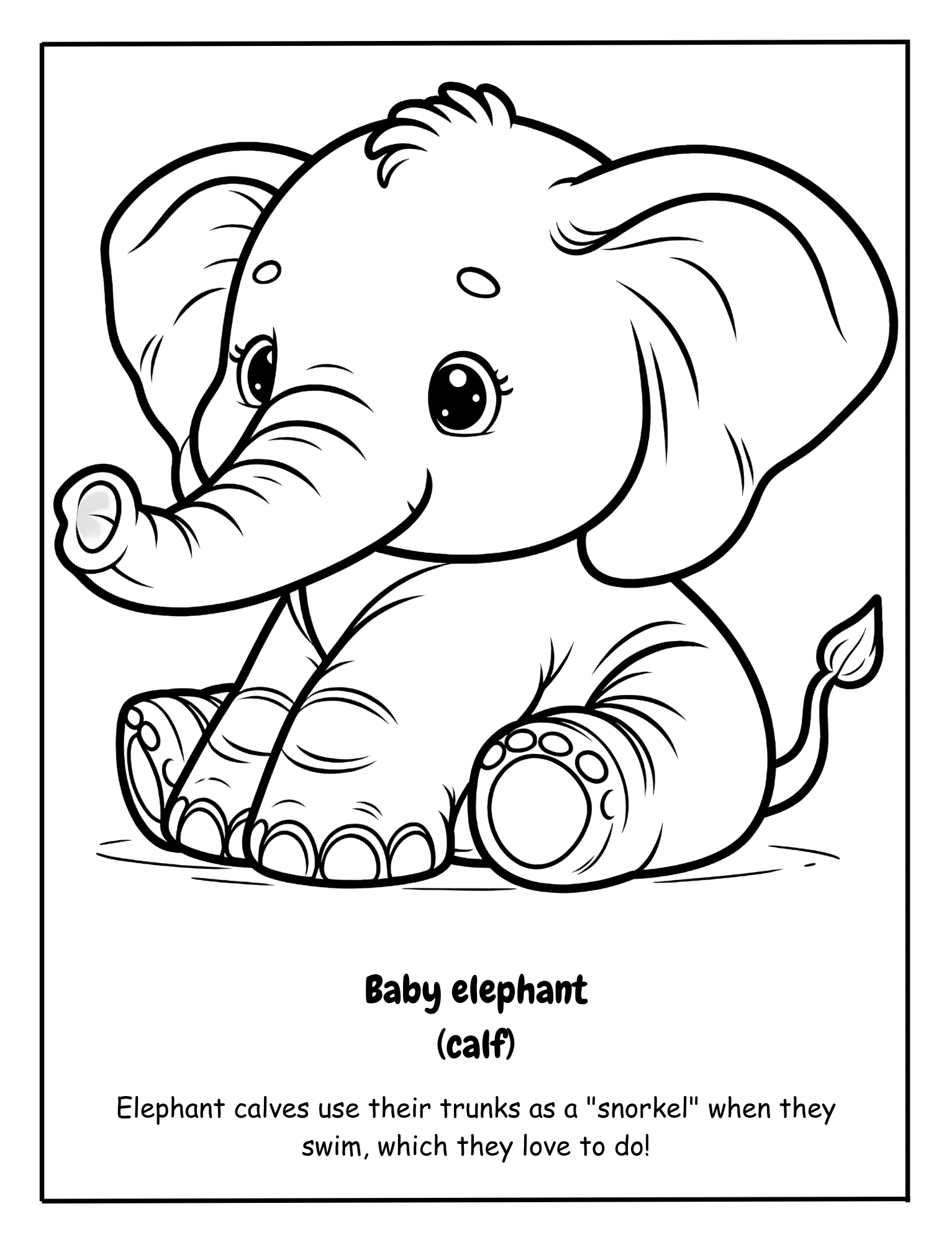 Baby animals coloring pages